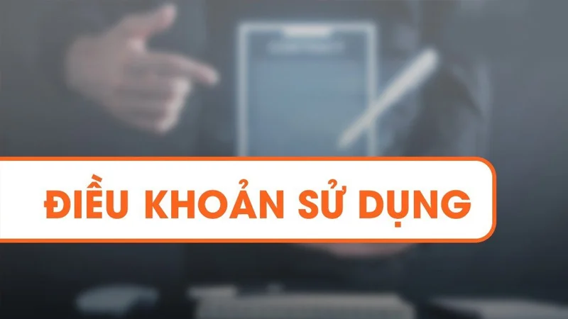 Thông tin Điều Khoản Sử Dụng BK8