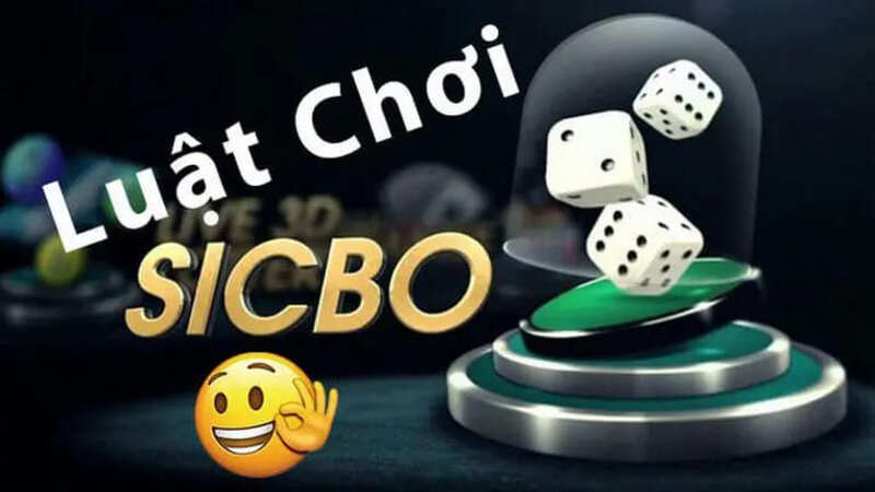 quy luat sicbo bk8 1 Quy luật Sicbo trải nghiệm cá cược trực tuyến đỉnh cao